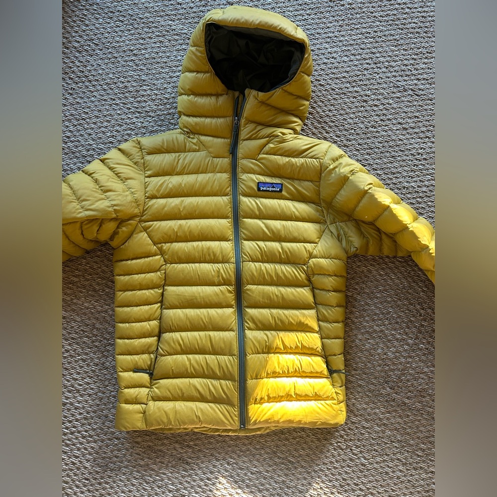 Patagonia Men's Down Sweater Hoody